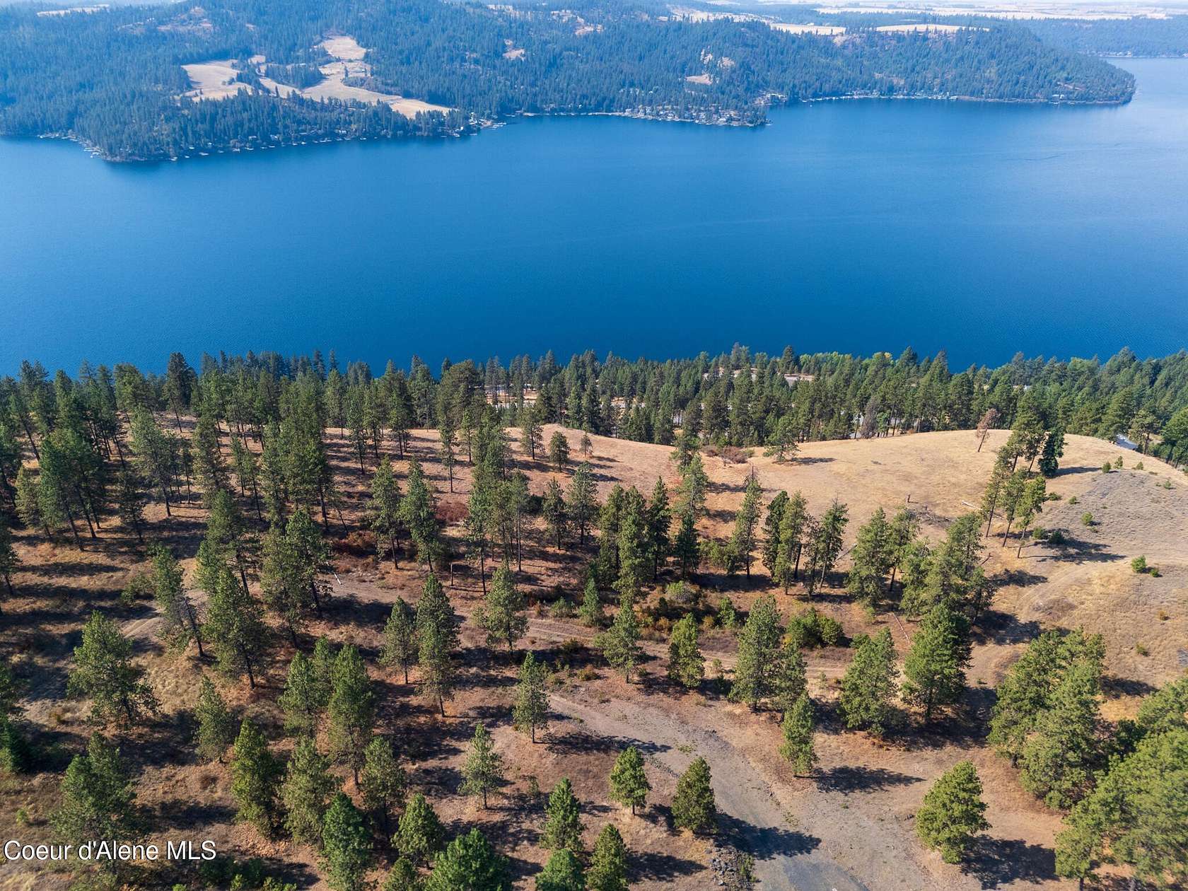 41.9 Acres of Recreational & Residential Land for Sale in Harrison, Idaho