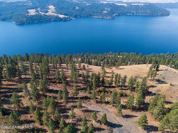 41.9 Acres of Recreational & Residential Land for Sale in Harrison, Idaho