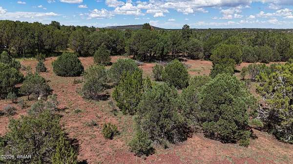 1 Acre of Residential Land for Sale in Vernon, Arizona
