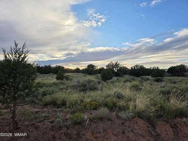 2.54 Acres of Residential Land for Sale in Snowflake, Arizona