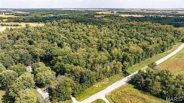 49.8 Acres of Recreational Land for Sale in Highland, Illinois