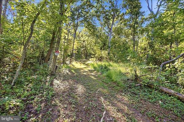 4.43 Acres of Residential Land for Sale in Strasburg, Virginia