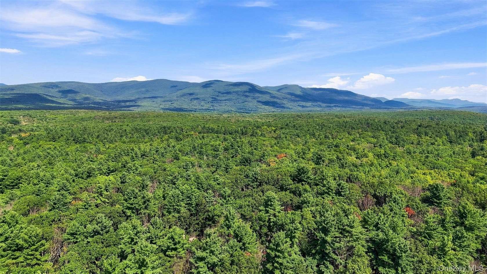 16.2 Acres of Land with Home for Sale in Kerhonkson, New York