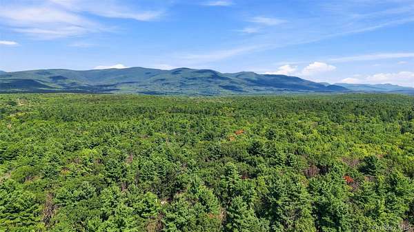 16.2 Acres of Land with Home for Sale in Kerhonkson, New York