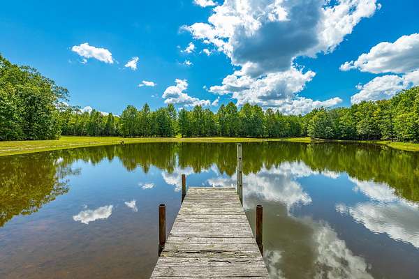 149 Acres of Improved Land for Sale in Menlo, Georgia
