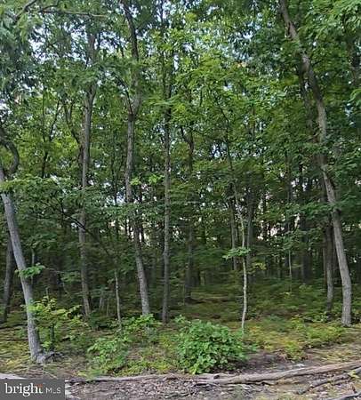 57.5 Acres of Recreational Land for Sale in Newburg, Pennsylvania
