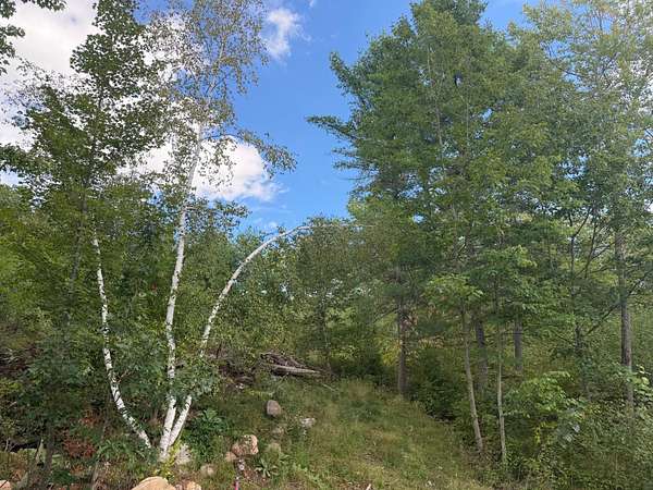 2 Acres of Residential Land for Sale in Minocqua, Wisconsin