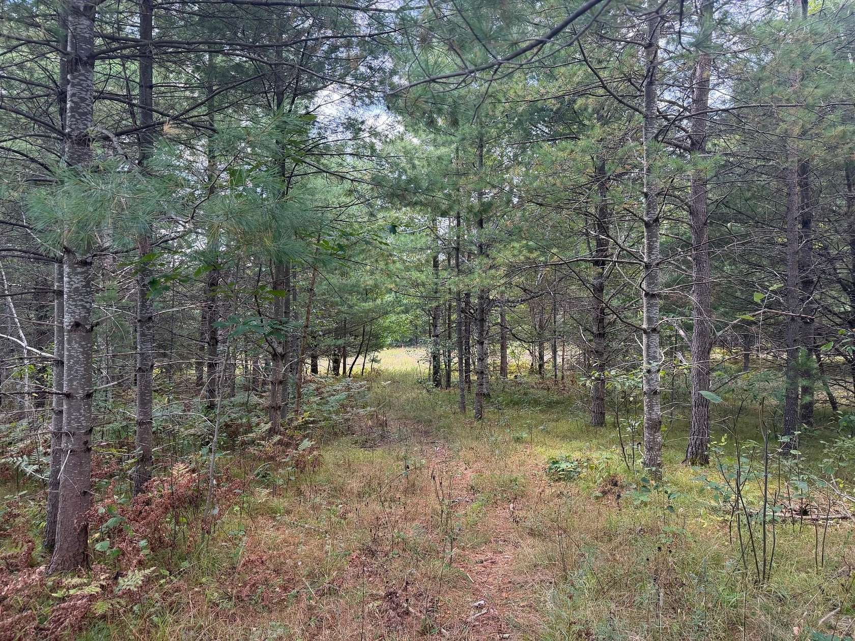 1.17 Acres of Residential Land for Sale in Minocqua, Wisconsin