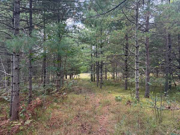 1.17 Acres of Residential Land for Sale in Minocqua, Wisconsin
