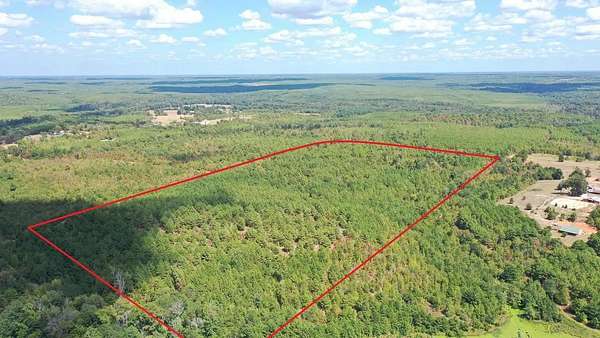 69.4 Acres of Recreational & Residential Land for Sale in Jefferson, Texas