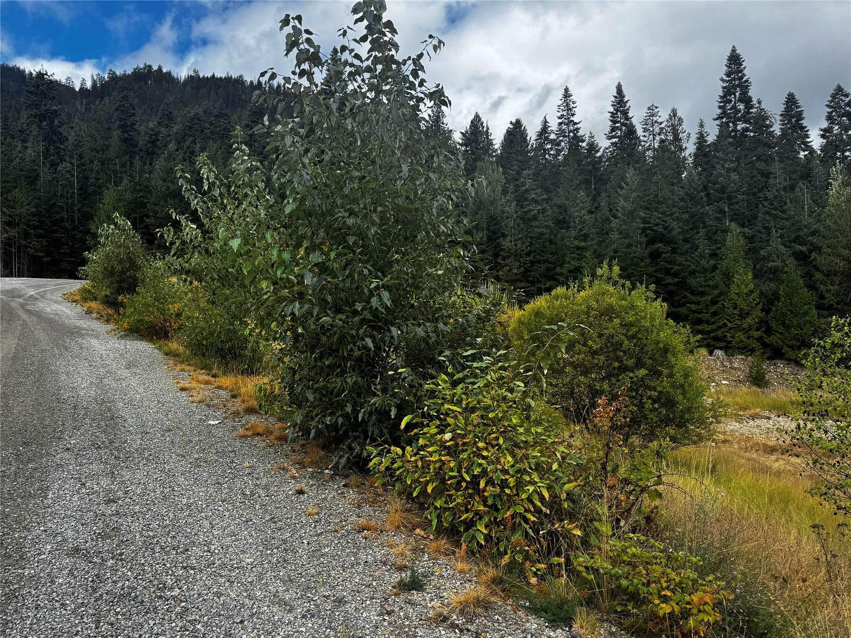 3.33 Acres of Land for Sale in Troy, Montana