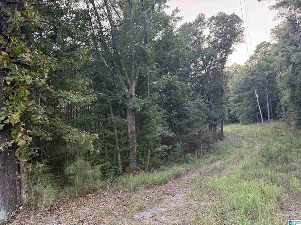 2.3 Acres of Residential Land for Sale in Bessemer, Alabama