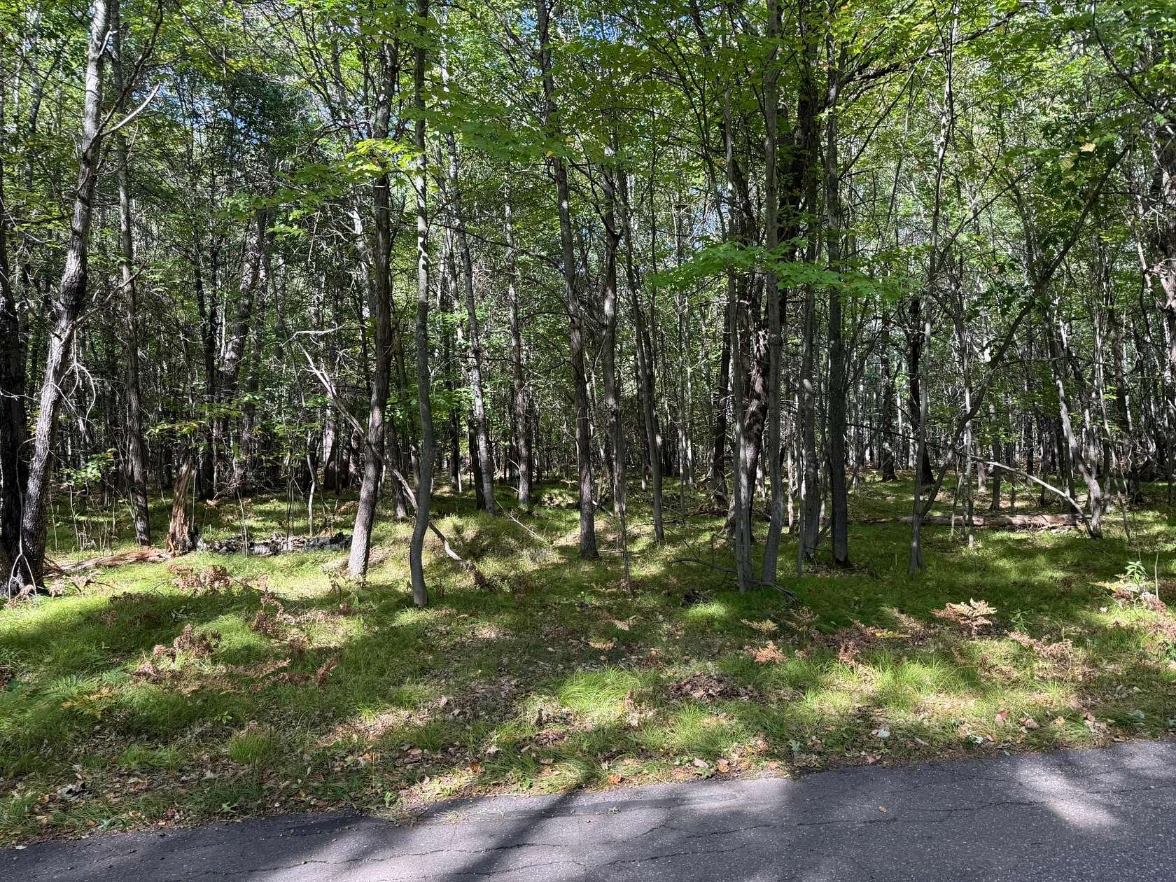 4.58 Acres of Residential Land for Sale in Saint Germain, Wisconsin