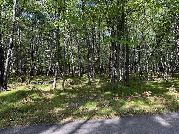 4.58 Acres of Residential Land for Sale in Saint Germain, Wisconsin