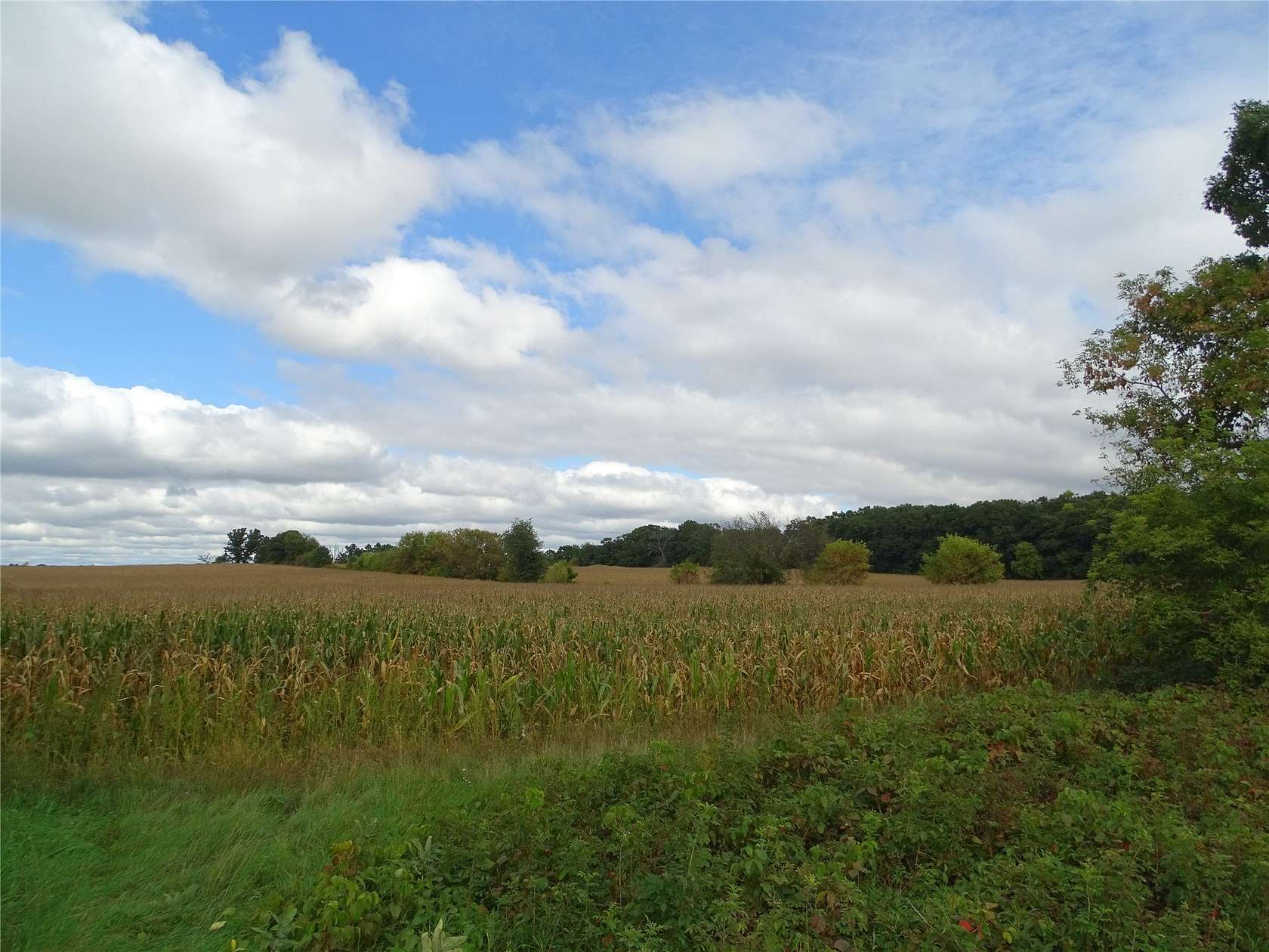 60 Acres of Land for Sale in Mondovi, Wisconsin