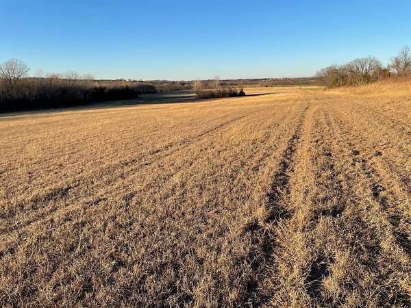 62 Acres of Agricultural & Residential Land for Sale in Tom Bean, Texas