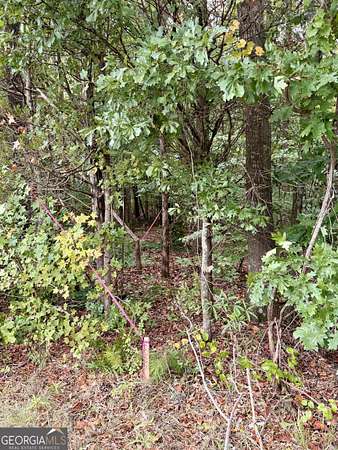 5.62 Acres of Residential Land for Sale in Homer, Georgia