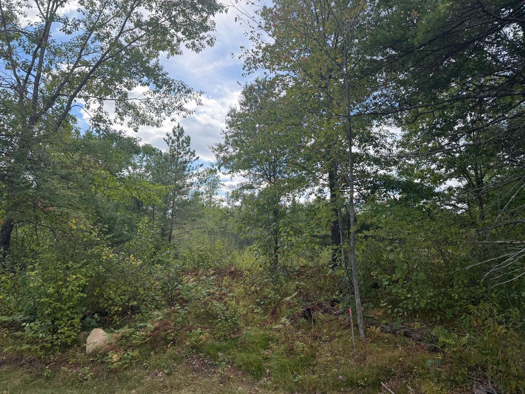 1.52 Acres of Residential Land for Sale in Minocqua, Wisconsin