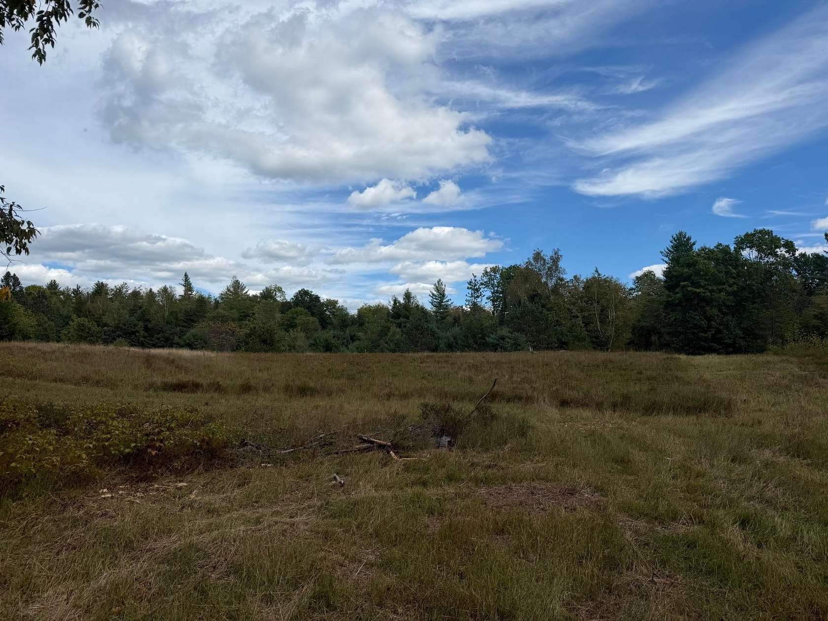 1.5 Acres of Residential Land for Sale in Minocqua, Wisconsin