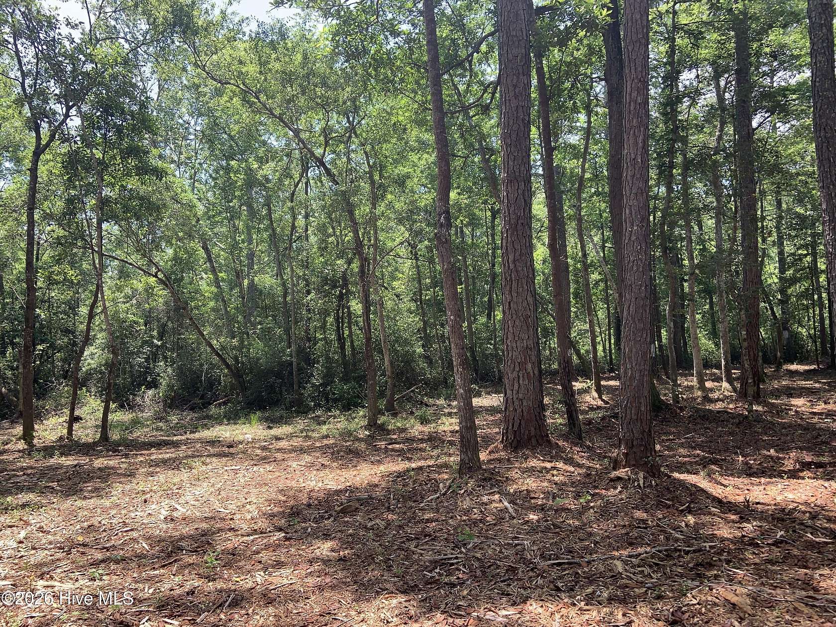 9 Acres of Residential Land for Sale in Varnamtown, North Carolina