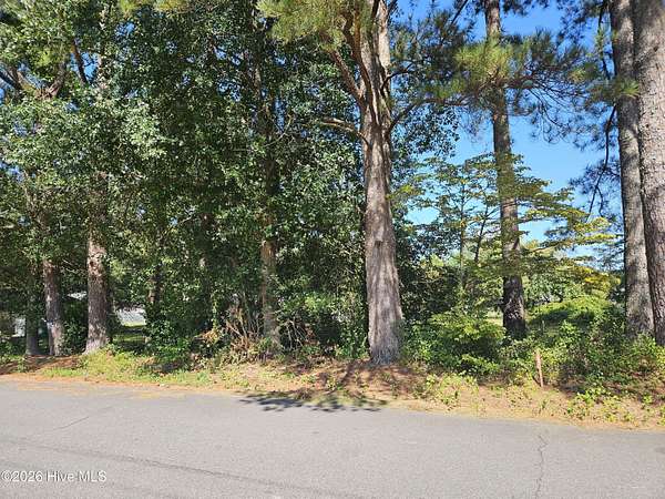 0.51 Acres of Residential Land for Sale in Clinton, North Carolina