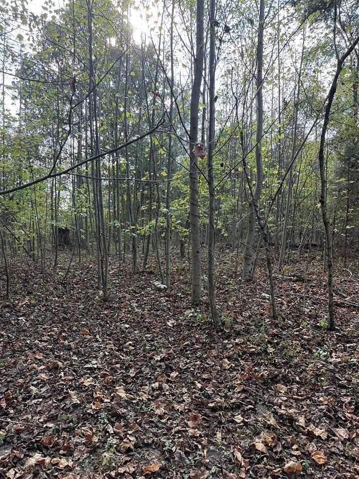 2 Acres of Residential Land for Sale in Dunmor, Kentucky