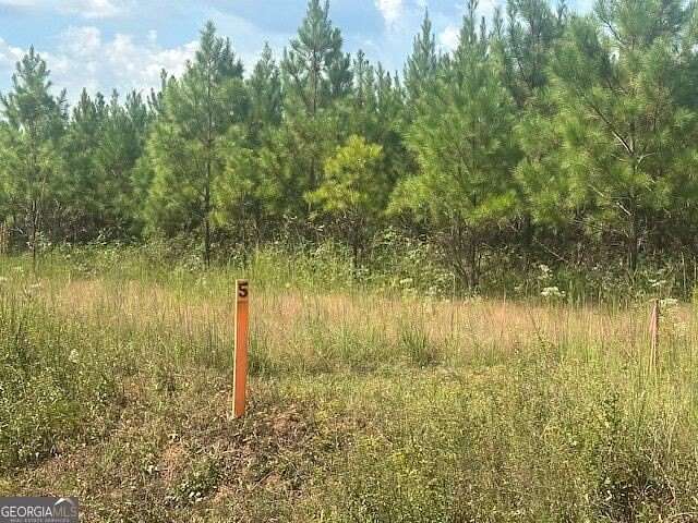 25.6 Acres of Recreational & Residential Land for Sale in Monticello, Georgia