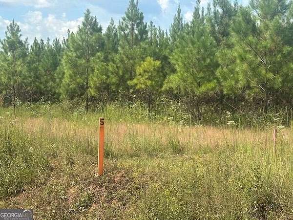 25.6 Acres of Recreational & Residential Land for Sale in Monticello, Georgia
