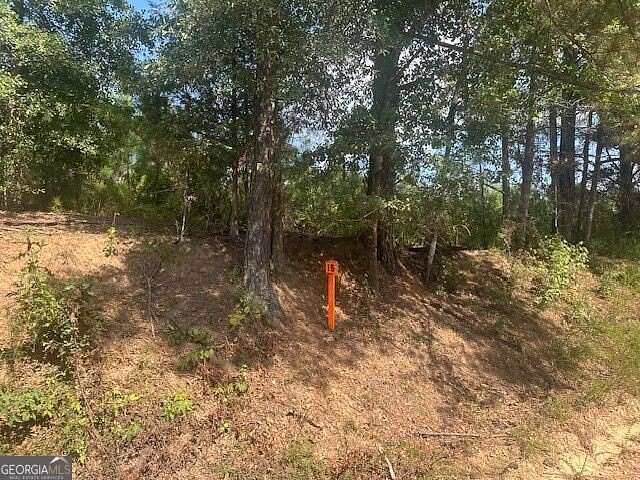 5 Acres of Residential Land for Sale in Monticello, Georgia