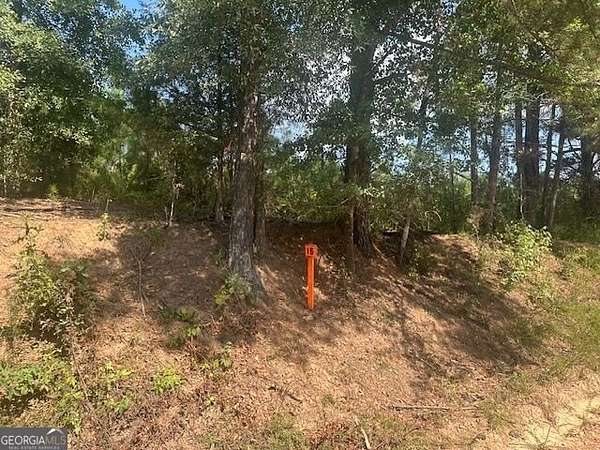5 Acres of Residential Land for Sale in Monticello, Georgia