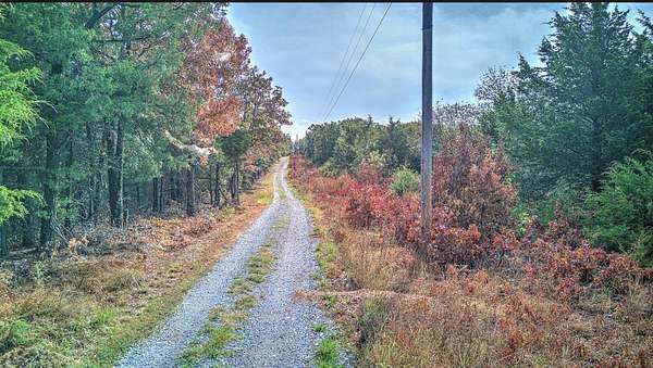 20 Acres of Land for Sale in Greenland, Arkansas
