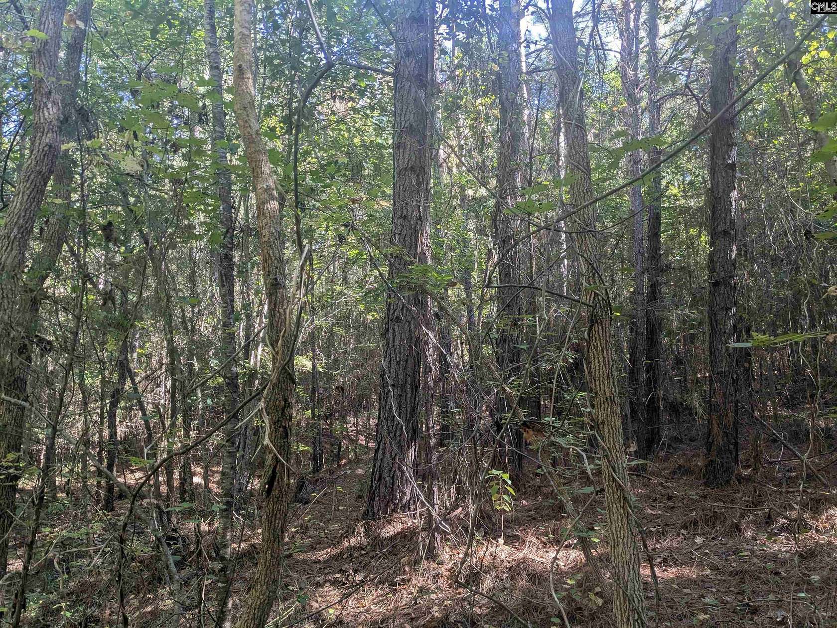 25 Acres of Land for Sale in Winnsboro, South Carolina