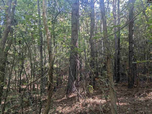 25 Acres of Land for Sale in Winnsboro, South Carolina