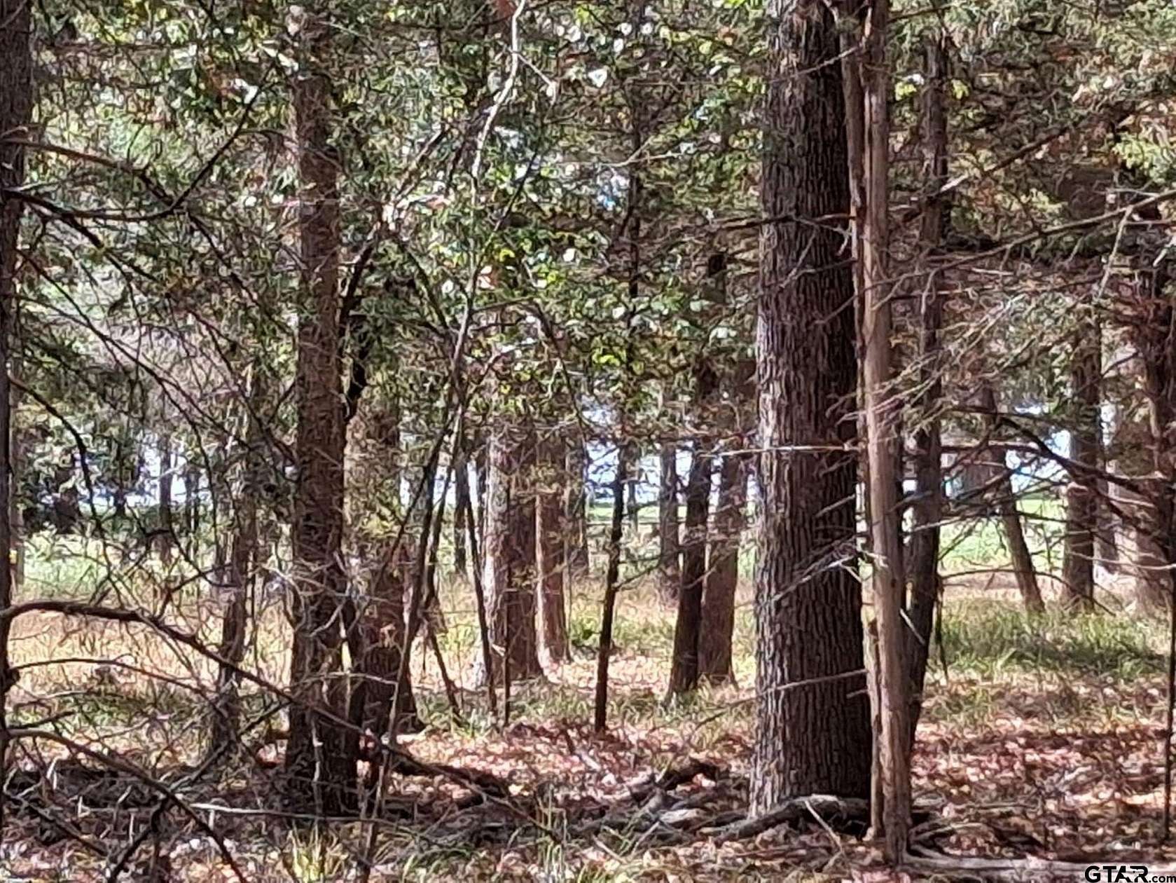 0.24 Acres of Residential Land for Sale in Murchison, Texas