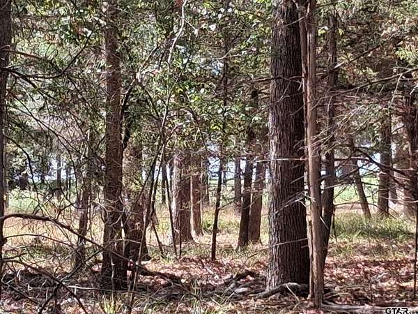 0.24 Acres of Residential Land for Sale in Murchison, Texas