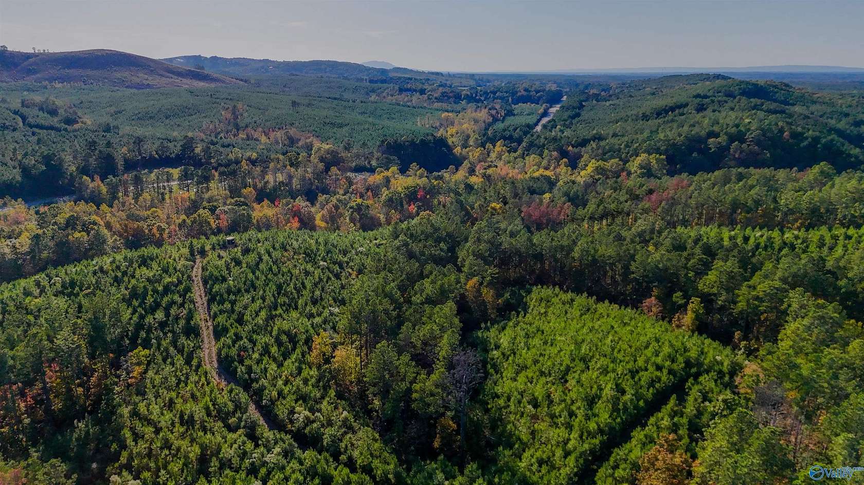 98.8 Acres of Land for Sale in Centre, Alabama