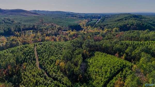 98.8 Acres of Land for Sale in Centre, Alabama