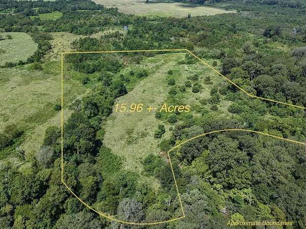 16 Acres of Land for Sale in Douglass, Texas