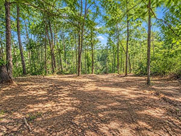 12.1 Acres of Land for Sale in Hanson, Kentucky