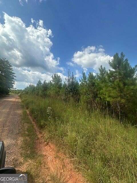 18.4 Acres of Land for Sale in Monticello, Georgia