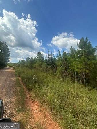 18.4 Acres of Land for Sale in Monticello, Georgia