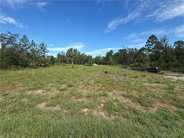 1.1 Acres of Residential Land for Sale in Crystal River, Florida