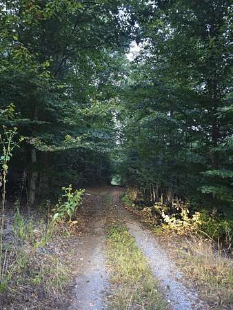 12.6 Acres of Land for Sale in Moneta, Virginia