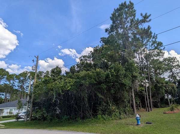 0.25 Acres of Residential Land for Sale in Palm Coast, Florida