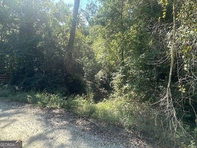 17.8 Acres of Land for Sale in Monticello, Georgia