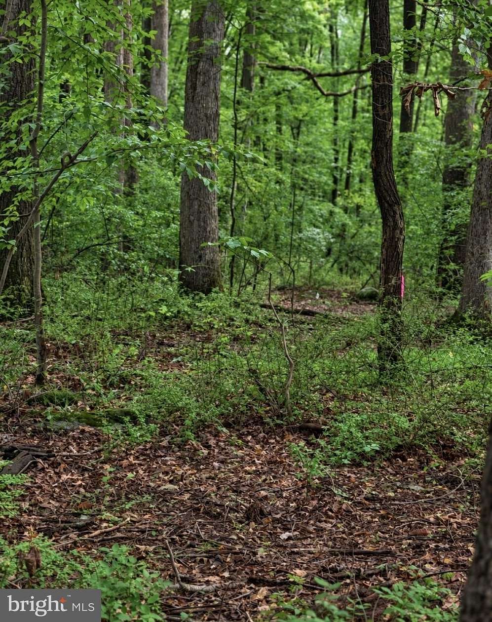 8 Acres of Residential Land for Sale in Upper Black Eddy, Pennsylvania