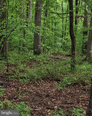 8 Acres of Residential Land for Sale in Upper Black Eddy, Pennsylvania