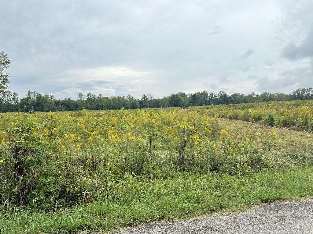30 Acres of Agricultural Land for Sale in Cookeville, Tennessee