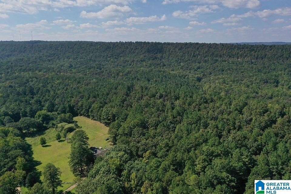 68.1 Acres of Agricultural Land with Home for Sale in Pell City, Alabama