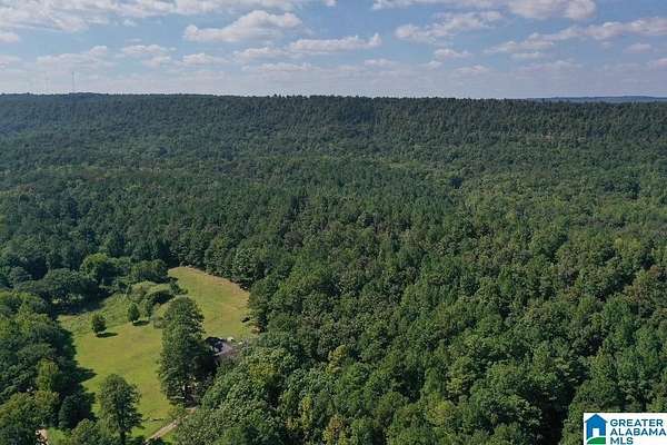 68.1 Acres of Agricultural Land with Home for Sale in Pell City, Alabama